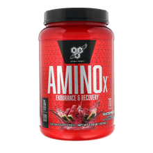 BSN AMINO X 70SERV